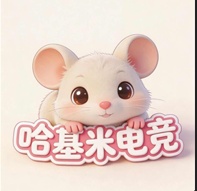 哈基米电竞